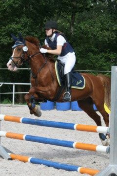 Reitsport